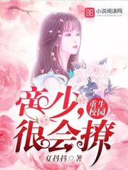 最美贵妃小说 知乎