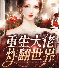 隐婿