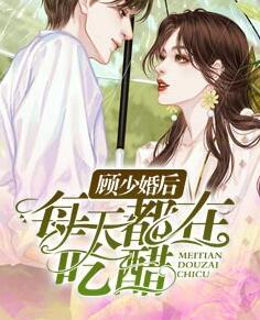 新婚夜和离,替嫁医妃宠冠全京城讲的什么